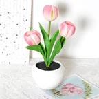 Tulip Lamp Indoor Decorative Table Lamp Flower Pot Lamp
